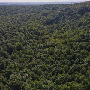 Photo #17 of Off Terrys Mountain Rd, Martinsville, VA 85.5 acres