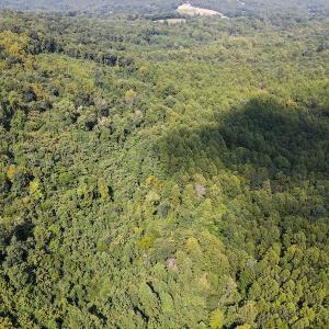 Photo #18 of Off Terrys Mountain Rd, Martinsville, VA 85.5 acres