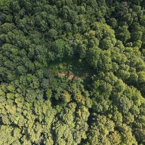 Photo #19 of Off Terrys Mountain Rd, Martinsville, VA 85.5 acres