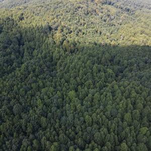 Photo #20 of Off Terrys Mountain Rd, Martinsville, VA 85.5 acres