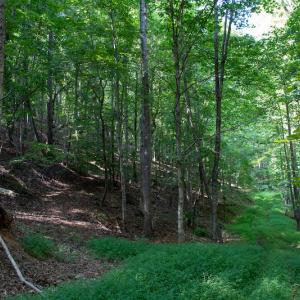 Photo #23 of SOLD property in Off Terrys Mountain Rd, Martinsville, VA 85.5 acres