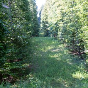 Photo #26 of SOLD property in Off Terrys Mountain Rd, Martinsville, VA 85.5 acres