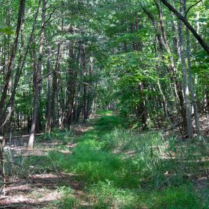 Photo #27 of SOLD property in Off Terrys Mountain Rd, Martinsville, VA 85.5 acres