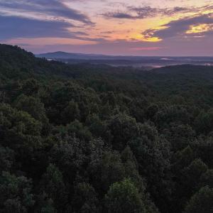 Photo #3 of Off Terrys Mountain Rd, Martinsville, VA 85.5 acres