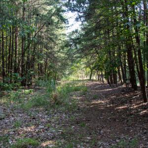 Photo #35 of SOLD property in Off Terrys Mountain Rd, Martinsville, VA 85.5 acres