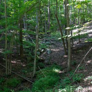 Photo #36 of SOLD property in Off Terrys Mountain Rd, Martinsville, VA 85.5 acres