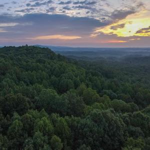 Photo #4 of Off Terrys Mountain Rd, Martinsville, VA 85.5 acres