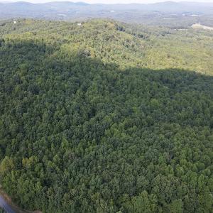 Photo #7 of SOLD property in Off Terrys Mountain Rd, Martinsville, VA 85.5 acres