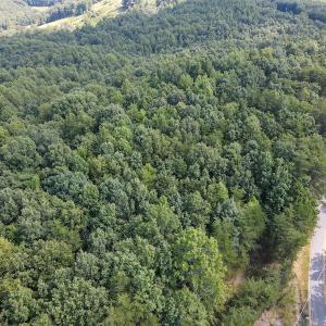 Photo #9 of Off Terrys Mountain Rd, Martinsville, VA 85.5 acres