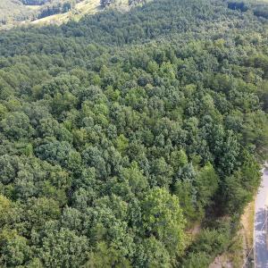 Photo #9 of SOLD property in Off Terrys Mountain Rd, Martinsville, VA 85.5 acres