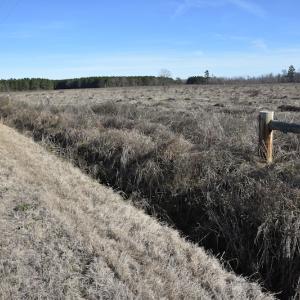 Photo #4 of SOLD property in Off Foxworth Road, Marion, SC 68.5 acres