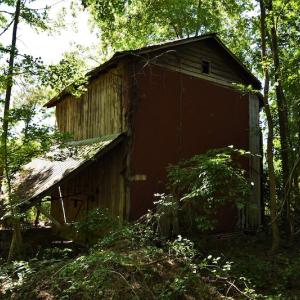 Photo #9 of SOLD property in Off Watermill Road, Mullins, SC 79.1 acres