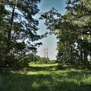 Photo #10 of SOLD property in Off Watermill Road, Mullins, SC 79.1 acres
