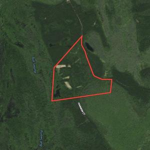 Photo #1 of SOLD property in Off Harmon Court, Gresham, SC 88.0 acres