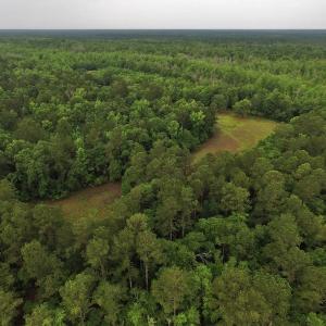 Photo #2 of SOLD property in Off Harmon Court, Gresham, SC 88.0 acres