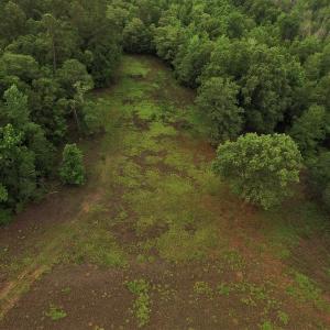 Photo #4 of SOLD property in Off Harmon Court, Gresham, SC 88.0 acres