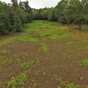Photo #5 of SOLD property in Off Harmon Court, Gresham, SC 88.0 acres