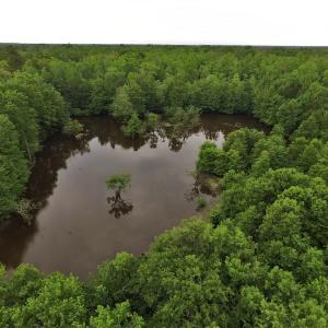 Photo #6 of SOLD property in Off Harmon Court, Gresham, SC 88.0 acres