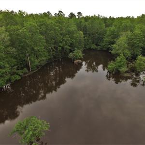 Photo #7 of SOLD property in Off Harmon Court, Gresham, SC 88.0 acres