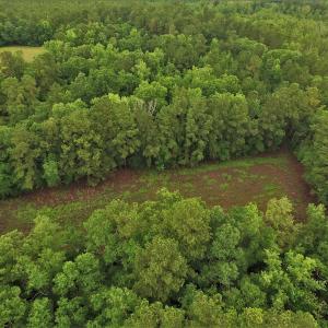 Photo #8 of SOLD property in Off Harmon Court, Gresham, SC 88.0 acres