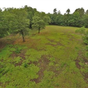 Photo #9 of SOLD property in Off Harmon Court, Gresham, SC 88.0 acres