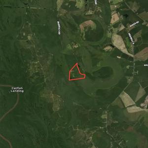 Photo #12 of SOLD property in Off Harmon Court, Gresham, SC 88.0 acres
