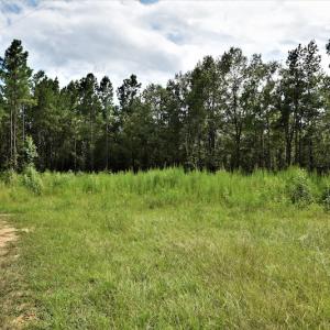 Photo #4 of SOLD property in Off Keene Road, Marion, SC 101.8 acres