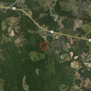 Photo #12 of SOLD property in Off Keene Road, Marion, SC 101.8 acres