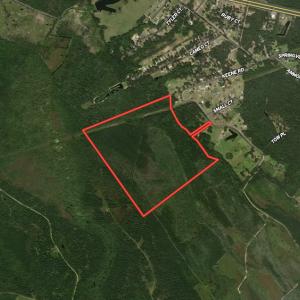 Photo #1 of SOLD property in Off Keene Road, Marion, SC 101.8 acres