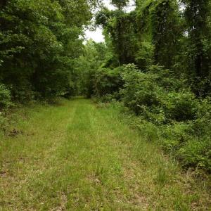 Photo #2 of SOLD property in Off Keene Road, Marion, SC 101.8 acres