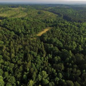 Photo #3 of SOLD property in 849 Strother Road, Union, SC 201.0 acres