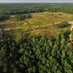 Photo #5 of SOLD property in 849 Strother Road, Union, SC 201.0 acres