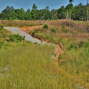 Photo #6 of SOLD property in 849 Strother Road, Union, SC 201.0 acres