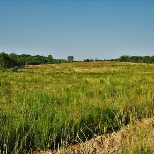 Photo #7 of SOLD property in 849 Strother Road, Union, SC 201.0 acres