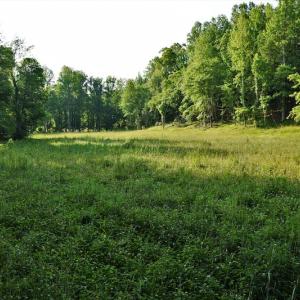 Photo #8 of SOLD property in 849 Strother Road, Union, SC 201.0 acres