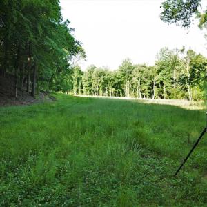 Photo #9 of SOLD property in 849 Strother Road, Union, SC 201.0 acres