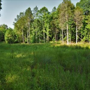 Photo #10 of SOLD property in 849 Strother Road, Union, SC 201.0 acres