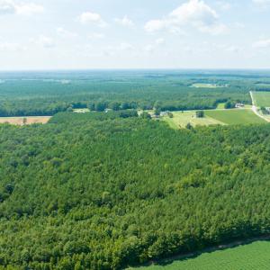 Photo #9 of Off Highway 258,  Rich Square , NC 27.8 acres