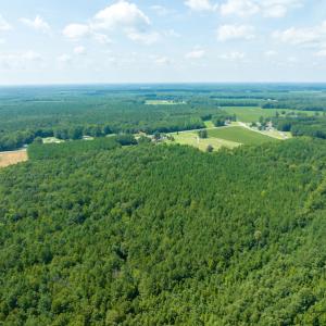 Photo #10 of Off Highway 258,  Rich Square , NC 27.8 acres