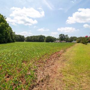 Photo #11 of Off Highway 258,  Rich Square , NC 27.8 acres