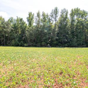 Photo #13 of Off Highway 258,  Rich Square , NC 27.8 acres