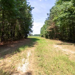 Photo #16 of Off Highway 258,  Rich Square , NC 27.8 acres