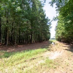 Photo #17 of Off Highway 258,  Rich Square , NC 27.8 acres