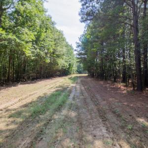 Photo #19 of Off Highway 258,  Rich Square , NC 27.8 acres