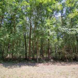 Photo #20 of Off Highway 258,  Rich Square , NC 27.8 acres