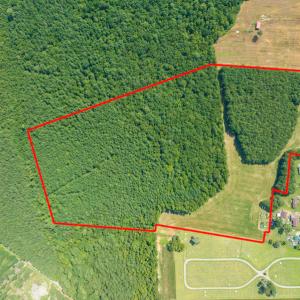 Photo #3 of Off Highway 258,  Rich Square , NC 27.8 acres