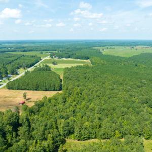 Photo #4 of Off Highway 258,  Rich Square , NC 27.8 acres