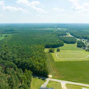 Photo #5 of Off Highway 258,  Rich Square , NC 27.8 acres