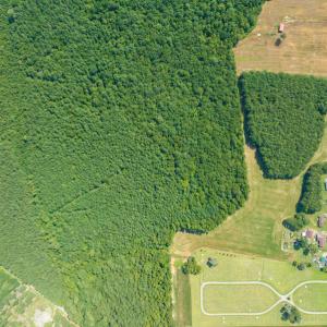Photo #8 of Off Highway 258,  Rich Square , NC 27.8 acres