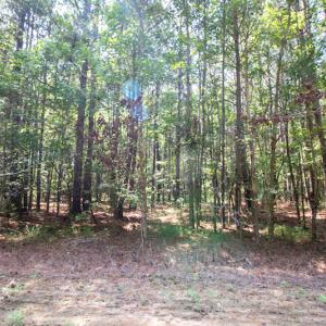 Photo #21 of Off Highway 258,  Rich Square , NC 27.8 acres